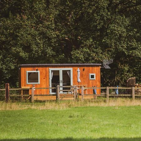 Готель The Hideaway At Hiddenwood Glamping Corsley Екстер'єр фото